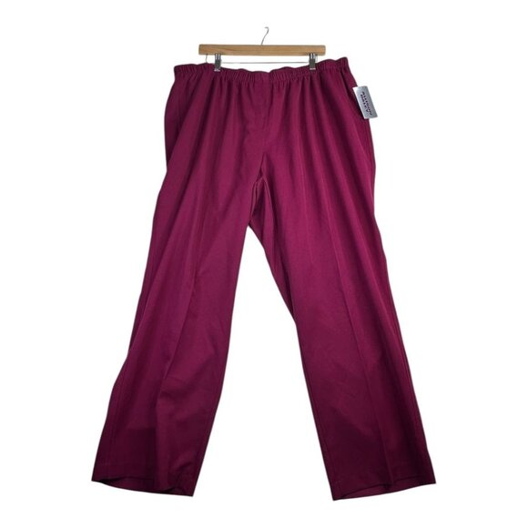 New Allison Daley‎ Woman Elastic Waist Pull On Pants size 22W R Mulberry - Picture 1 of 8